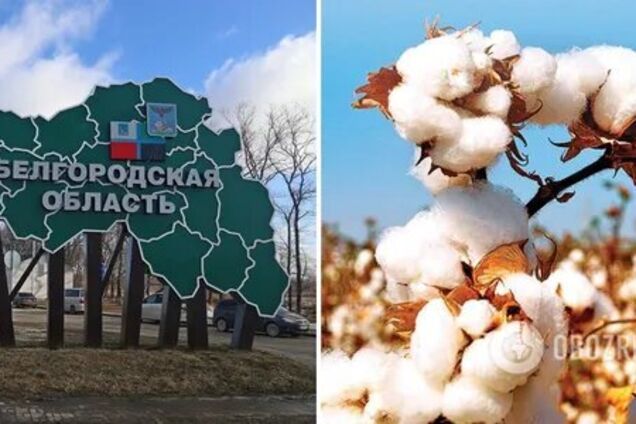 У Росії заявили вже про другу атаку безпілотників у Бєлгородській області: є постраждалі