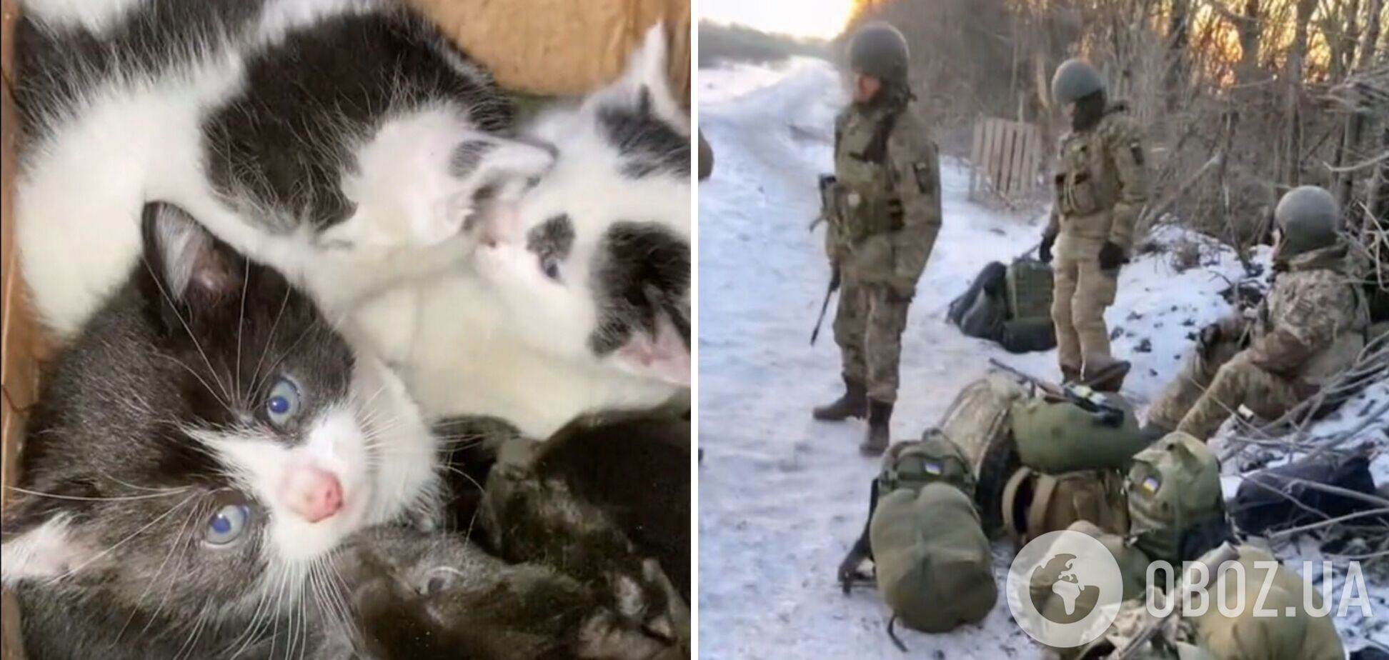 Украинский боец показал кадры эвакуации из передовой 'пушистиков': трогательное видео