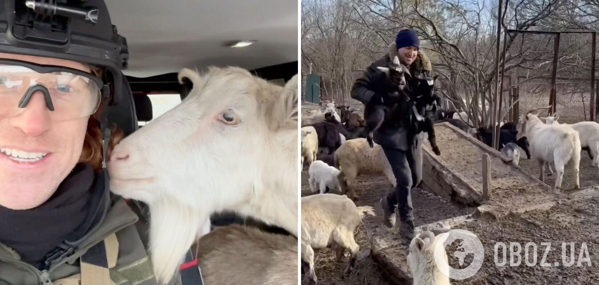 'Операція 'Кози': український волонтер організував евакуацію із прифронтової Карлівки стада тварин. Відео 