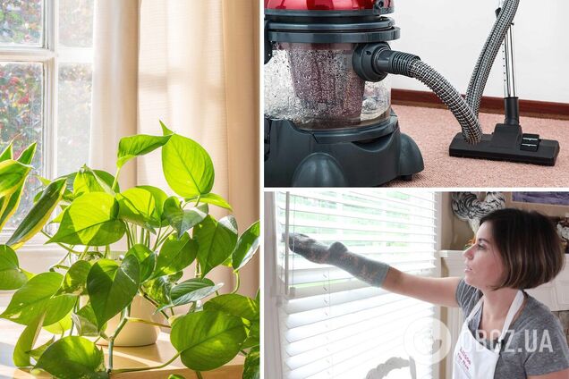 Як позбутися пилюки у важкодоступних місцях: прості способи