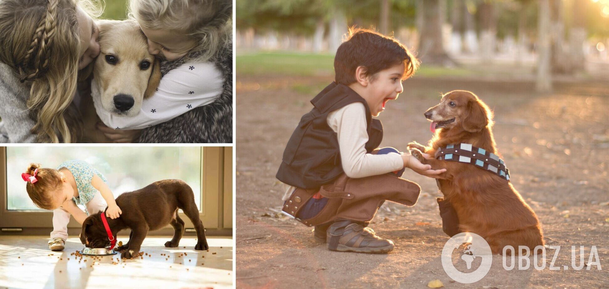 Какие породы собак лучше всего ладят с детьми: игривые и ласковые