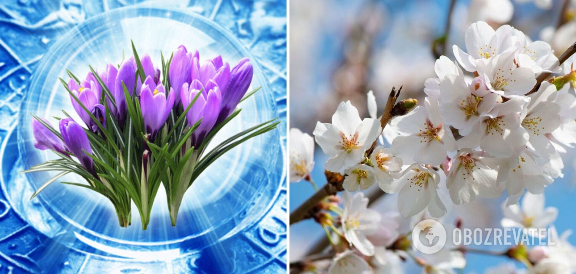 Довіртеся своїй інтуїції: гороскоп на весну для всіх знаків зодіаку
