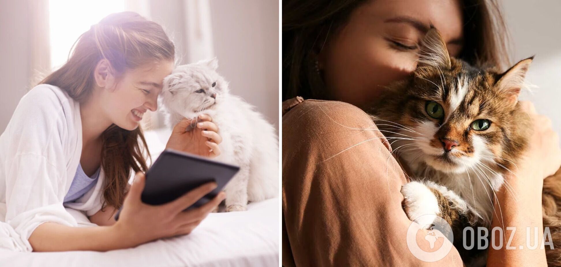 Прорыв в понимании сути женской энергетики - влияние кошек на ее пробуждение и гармонизацию Кошка и женская энергетика