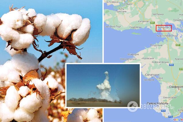 'Бавовна' в Крыму