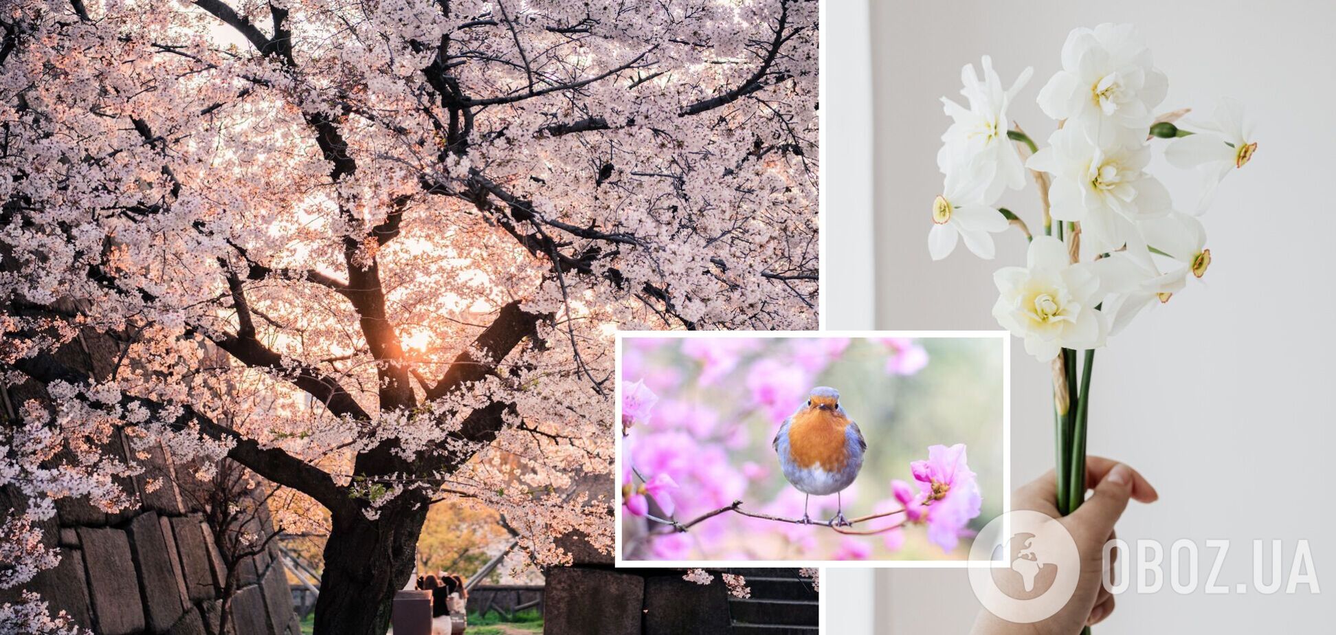 Прогноз синоптика: коли буде весна