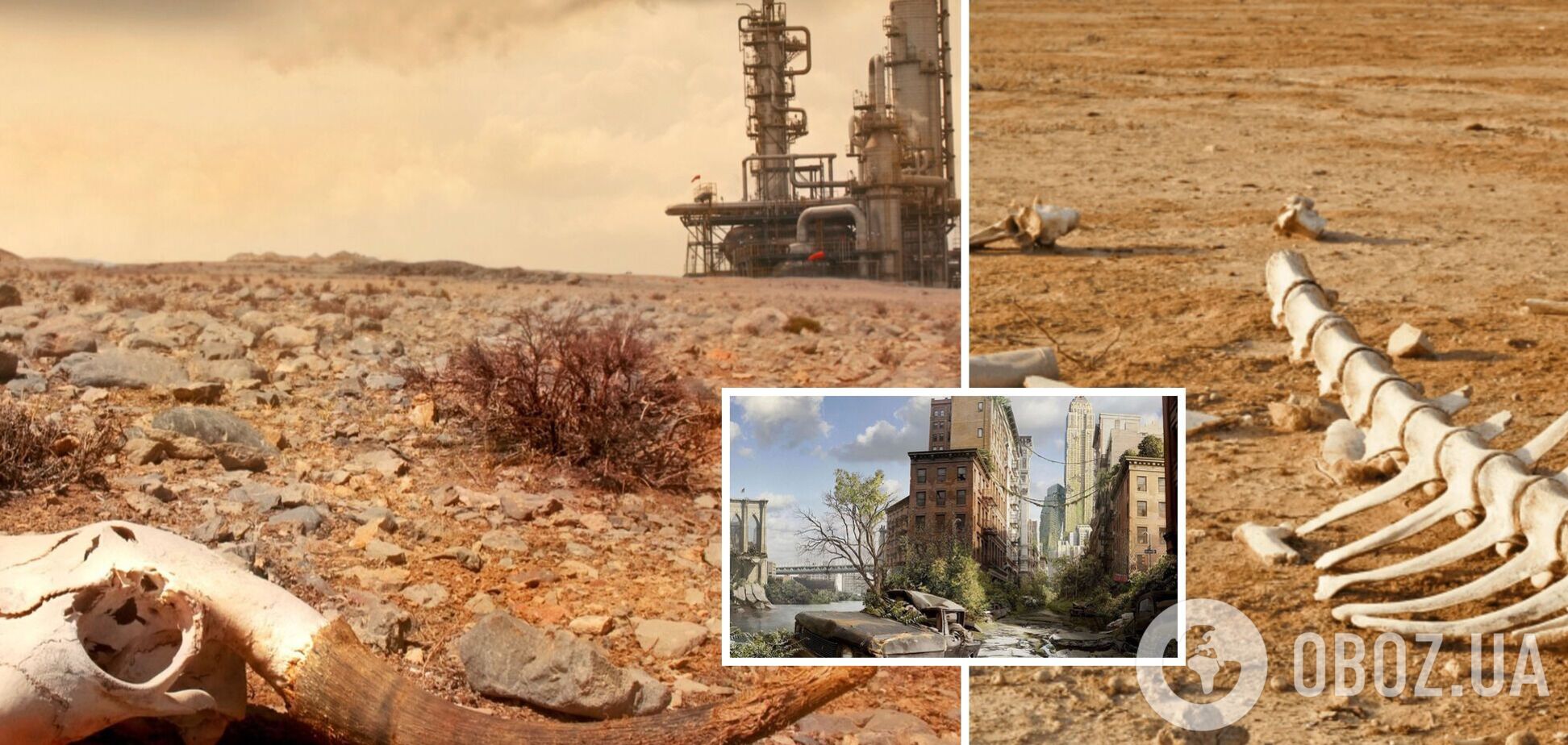 Вымрут 27% существ: ученые сделали неутешительный прогноз жизни на планете