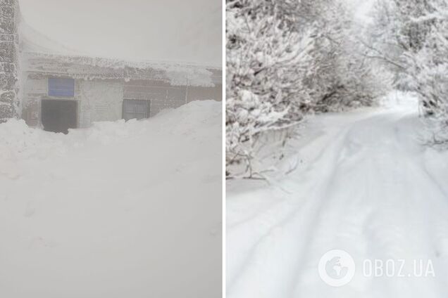 Українські Карпати засипало снігом