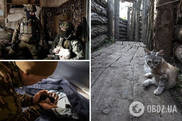 В сети показали 'пушистый батальон НГУ': трогательные фото