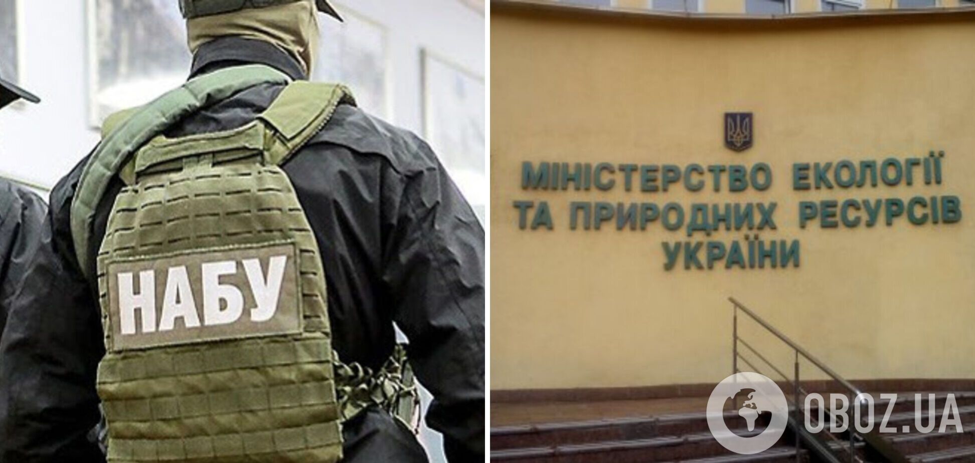 Деньги 'отмыли' на дистанционном зондировании Земли: эксзамминистра экологии 'догнал' коррупционный скандал 2011 года