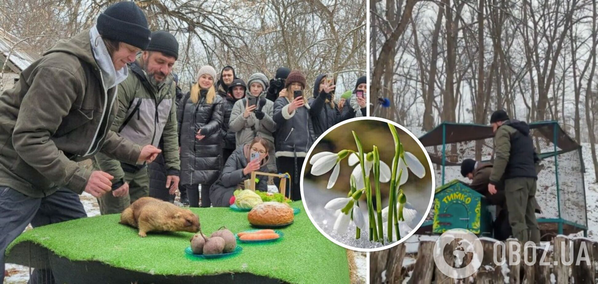 Прогноз на весну в Украине от сурка Тимки