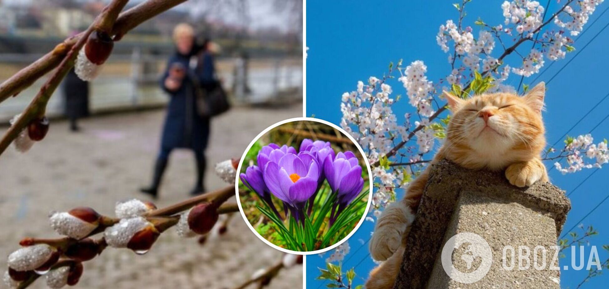 Тепло вже не за горами: синоптики розповіли, якою буде весна