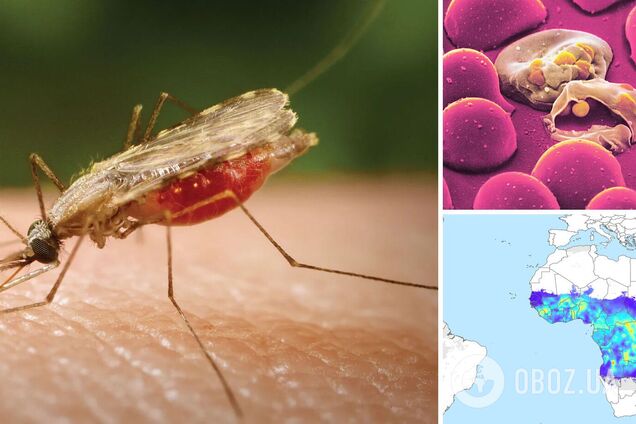 Глобальное потепление несет новую угрозу человечеству: что прогнозируют ученые