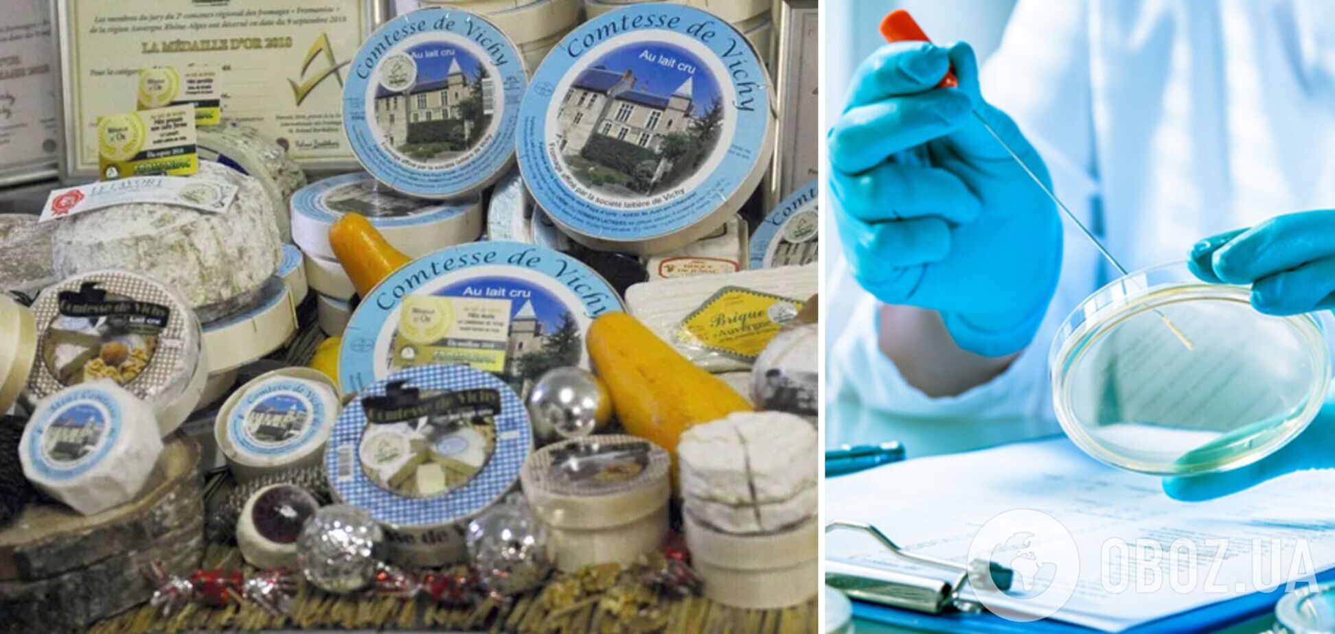 Опасный сыр в Украину завезли из Франции