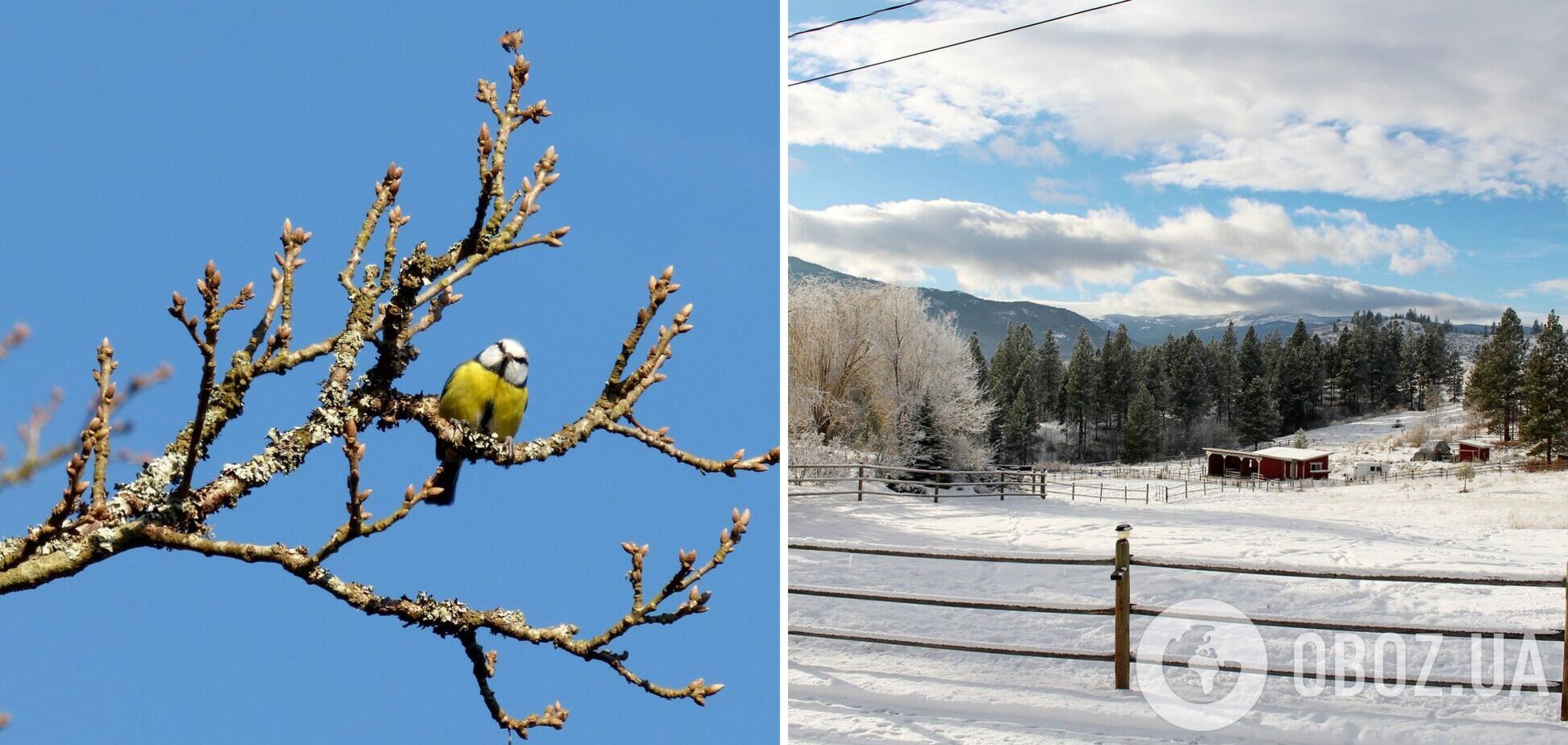 На зміну опадам прийде похолодання: синоптики поновили прогноз погоди на середу. Карта