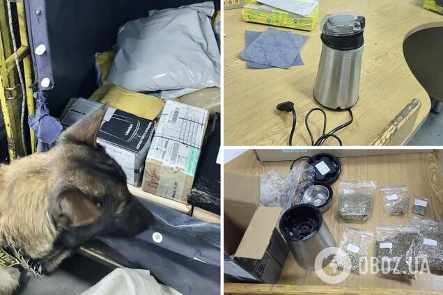 'Посылку' нашел служебный пес