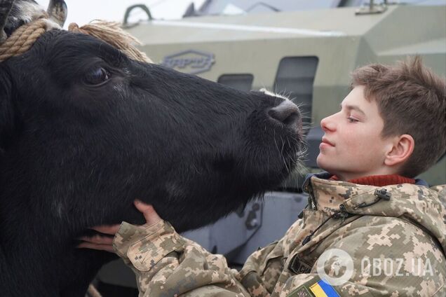 Тест на людяність: на Берлінале показали перший трейлер українського кіноальманаху 'Війна очима тварин'