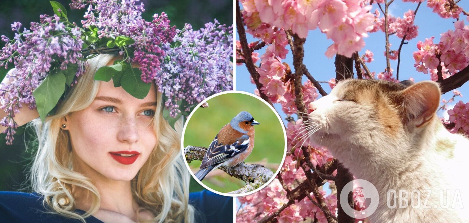 В середине апреля придет почти летнее тепло: синоптики рассказали, какой будет весна