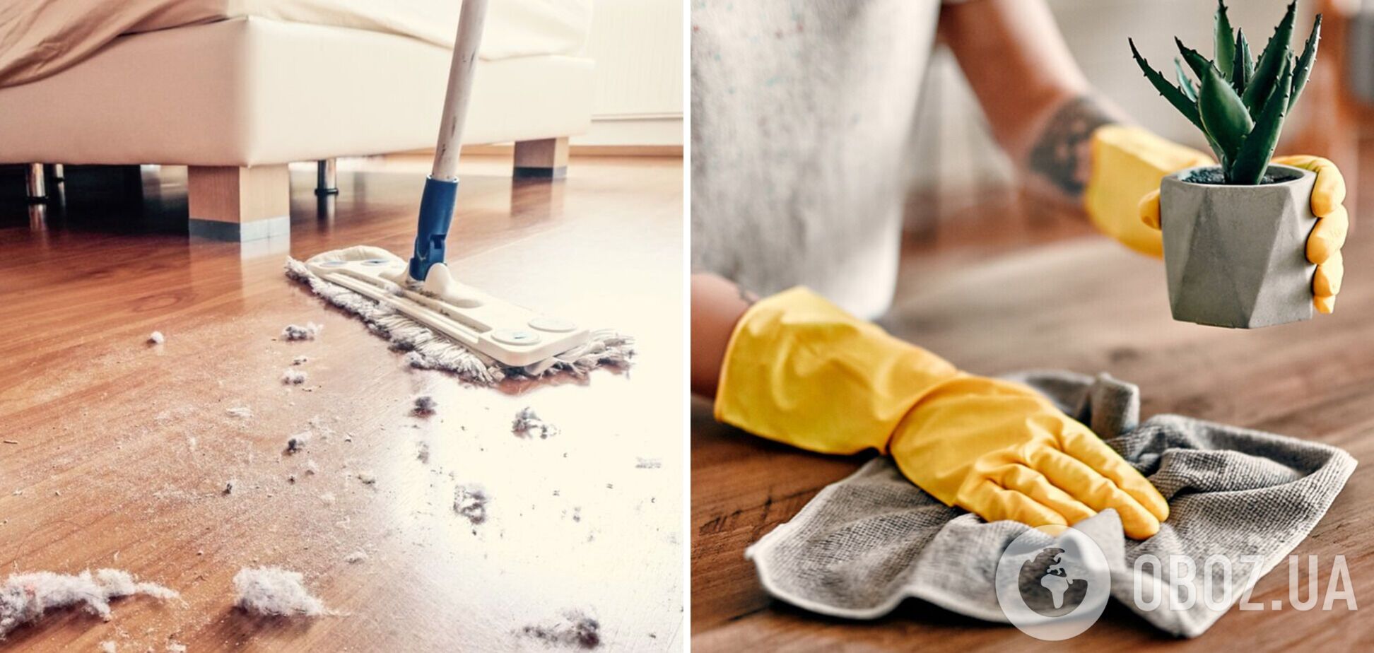 Как избавиться от пыли дома: пять эффективных способов