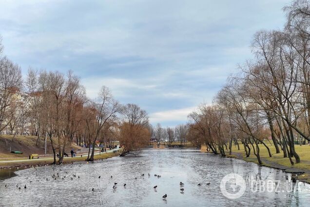 Вдень синоптики прогнозують невеликий дощ