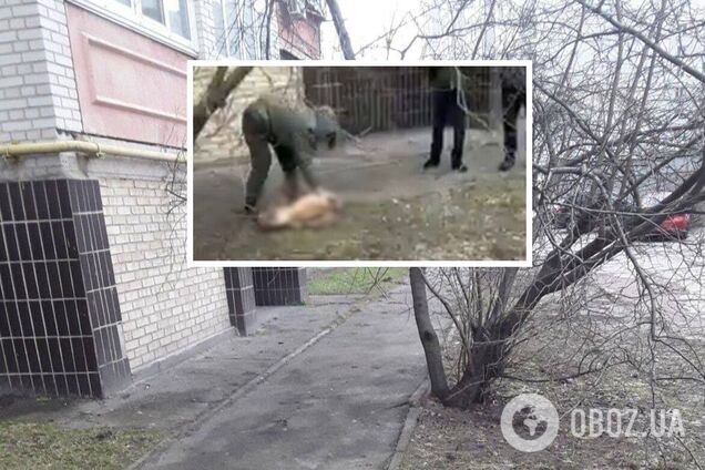 В Борисполе изверг выбросил с 4-го этажа собаку и угрожал расправиться с другой: животное спасти не удалось. Фото и видео