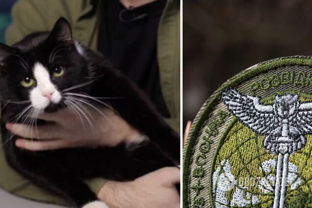 Буданов показал пушистого разведчика по кличке Гюнтер: знает все государственные тайны. Видео