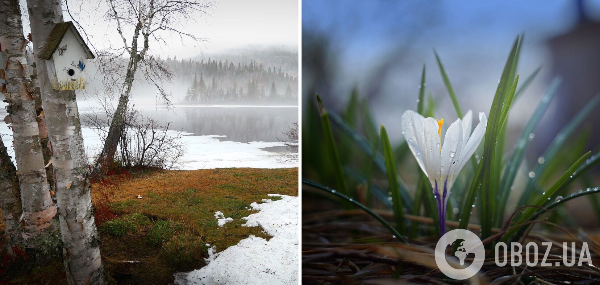 Март будет прохладным, а в мае погода преподнесет сюрпризы: синоптики рассказали, какой будет весна