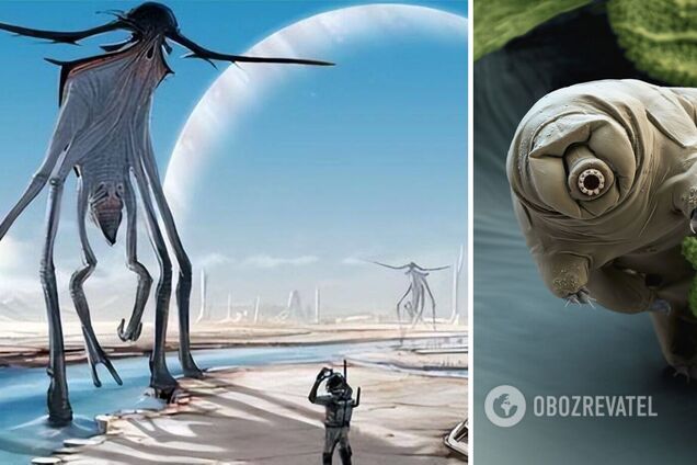 Инопланетяне могут даже не понимать, что люди – живые существа: ученые высказали смелую теорию