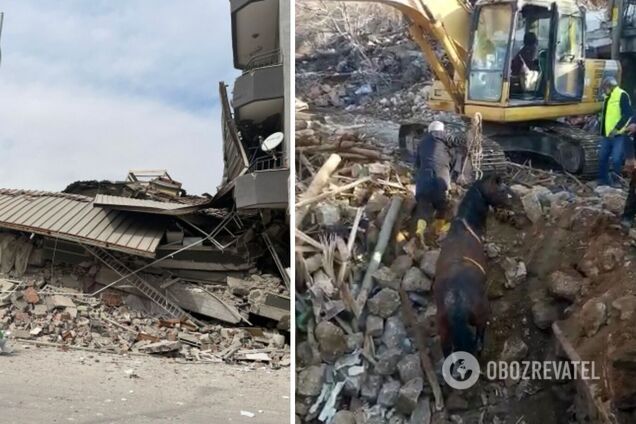 Справжнє диво: в Туреччині на 20-й день після землетрусу з-під завалів витягли живого коня. Відео