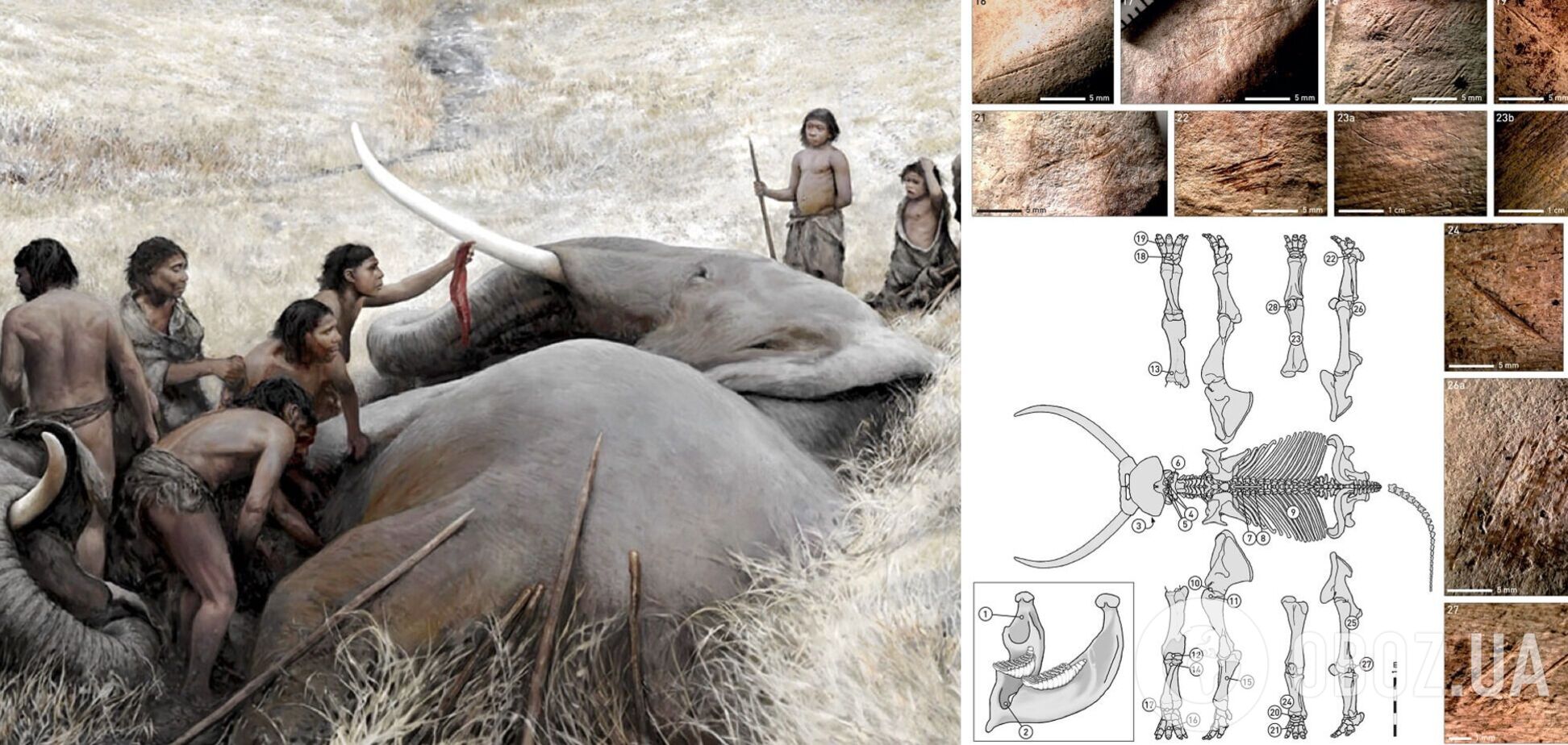 Раскрылся поразительный факт о неандертальцах: детали открытия