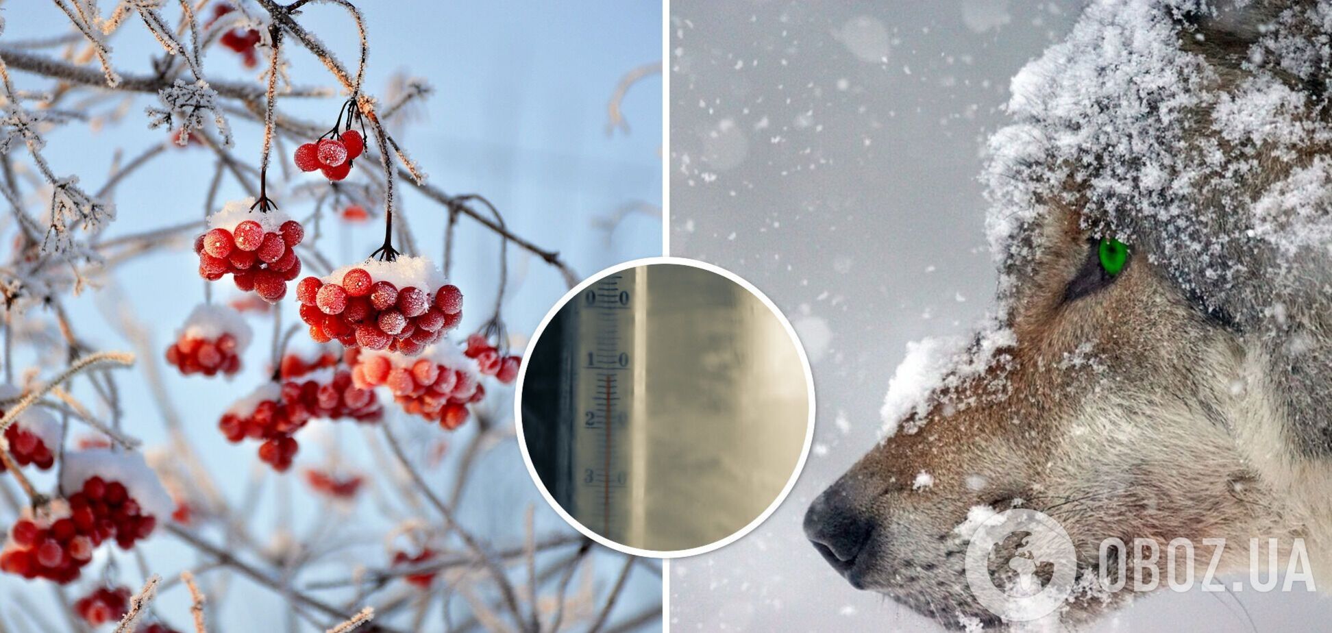 Ранней весны ждать не стоит: в Укргидрометцентре предупредили о возвращении морозов