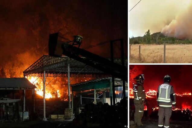 Лісові пожежі в Чилі