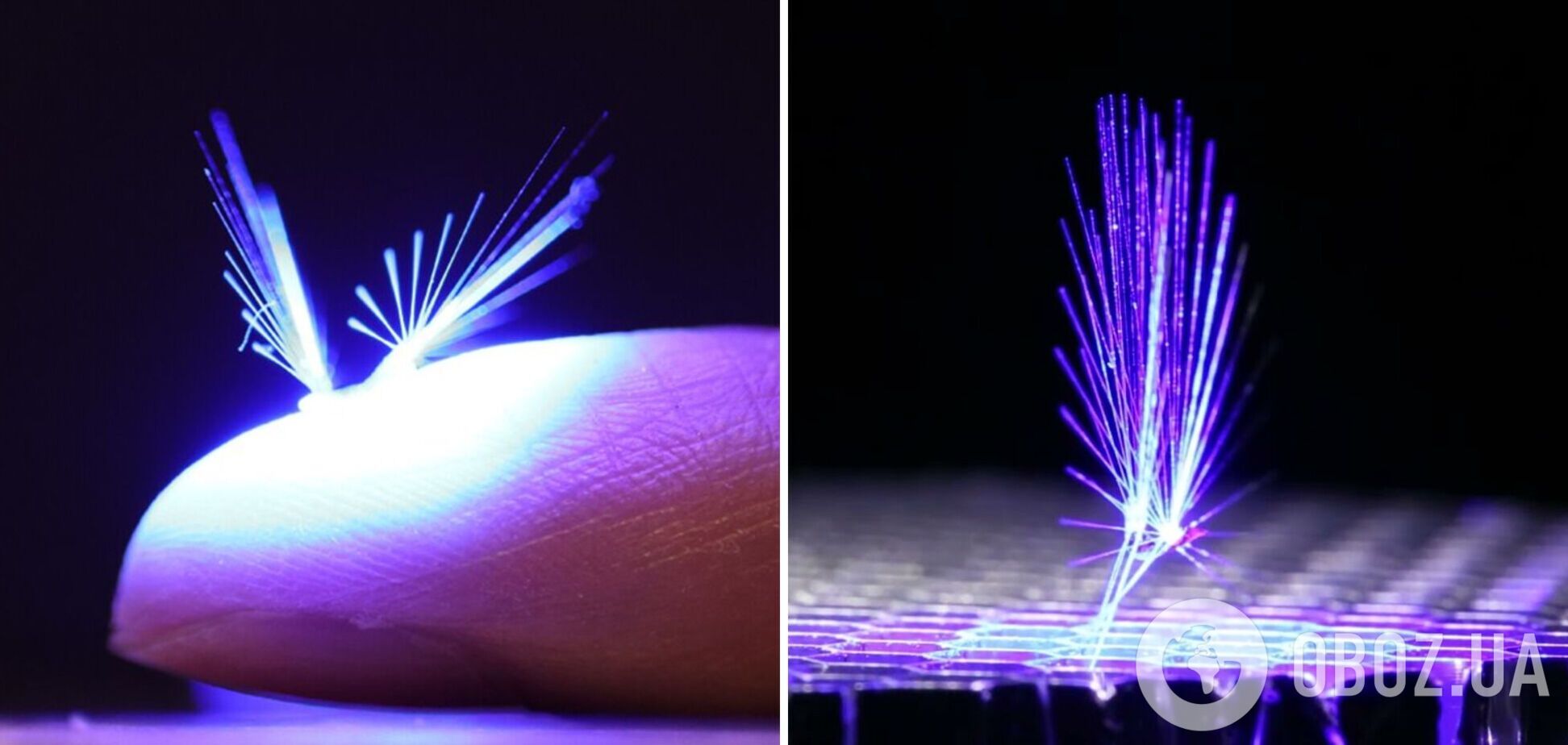 Ученые создали робота-фею, которого переносит ветер: впечатляющее видео