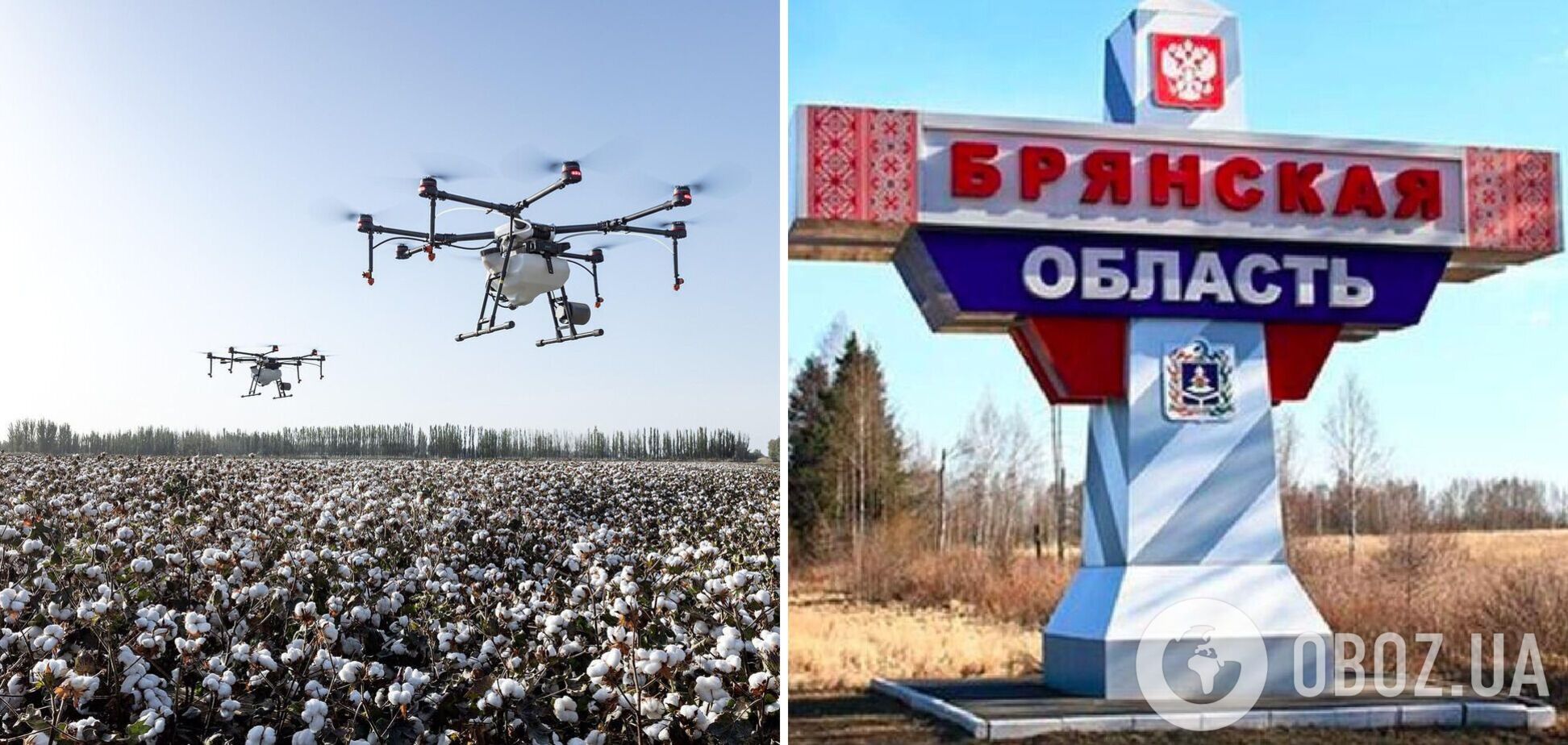 'Бавовна' в Брянской области