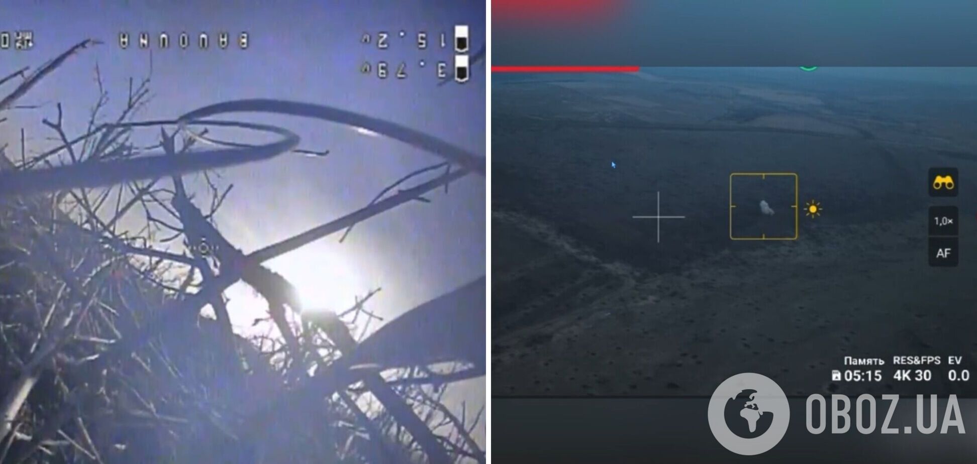Заслужив на премію Дарвіна: окупант ударив палицею по українському дрону-камікадзе і загинув від вибуху. Відео