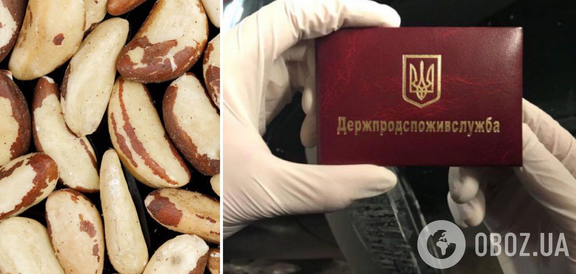 В Україну з Бразилії завезли небезпечні горіхи