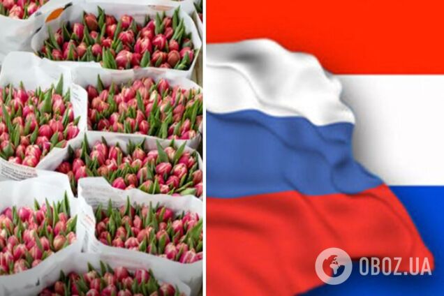 'Тюльпани роблять людей щасливими': Нідерланди продовжують продавати РФ квіти