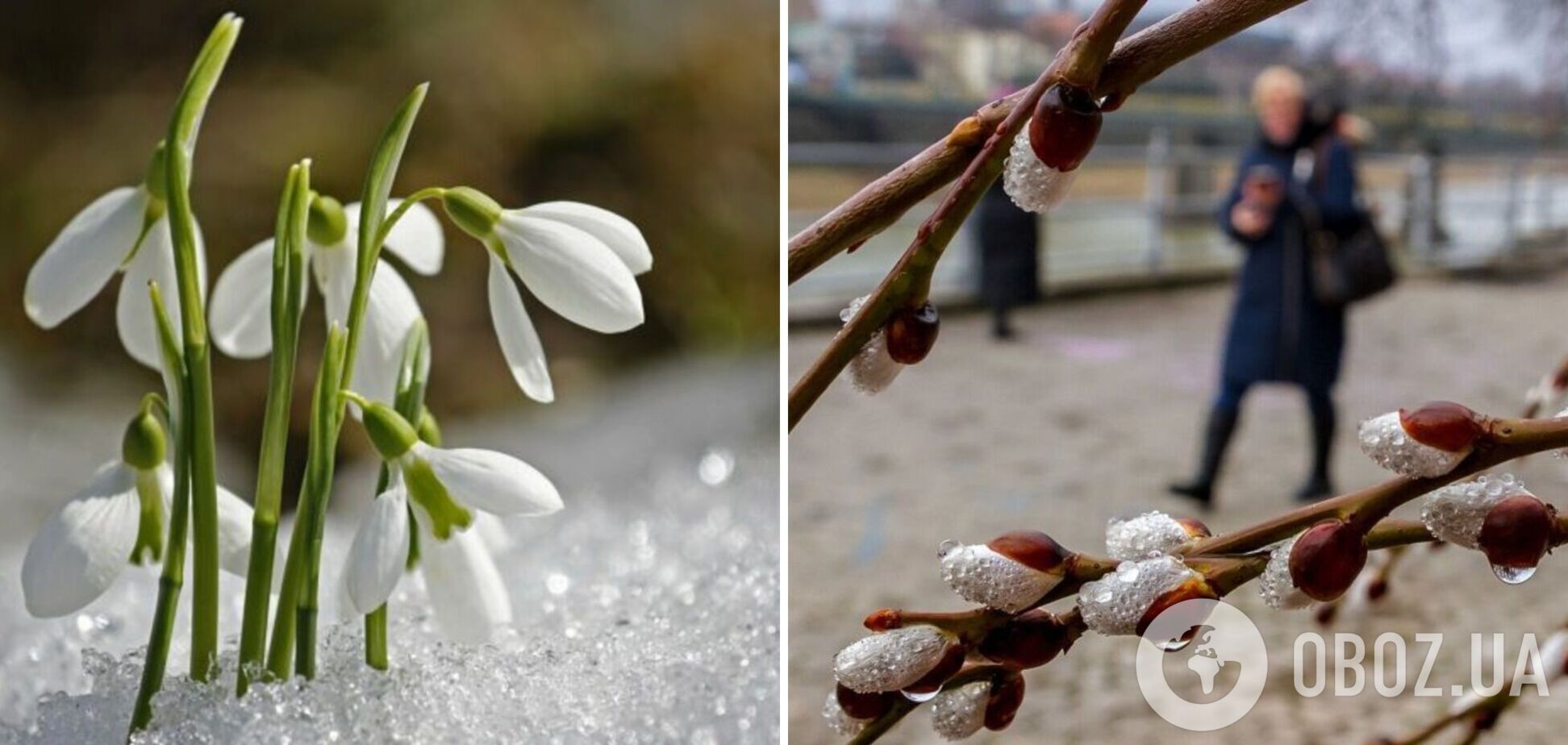 Март будет теплее обычного: синоптики рассказали о погоде в первый месяц весны