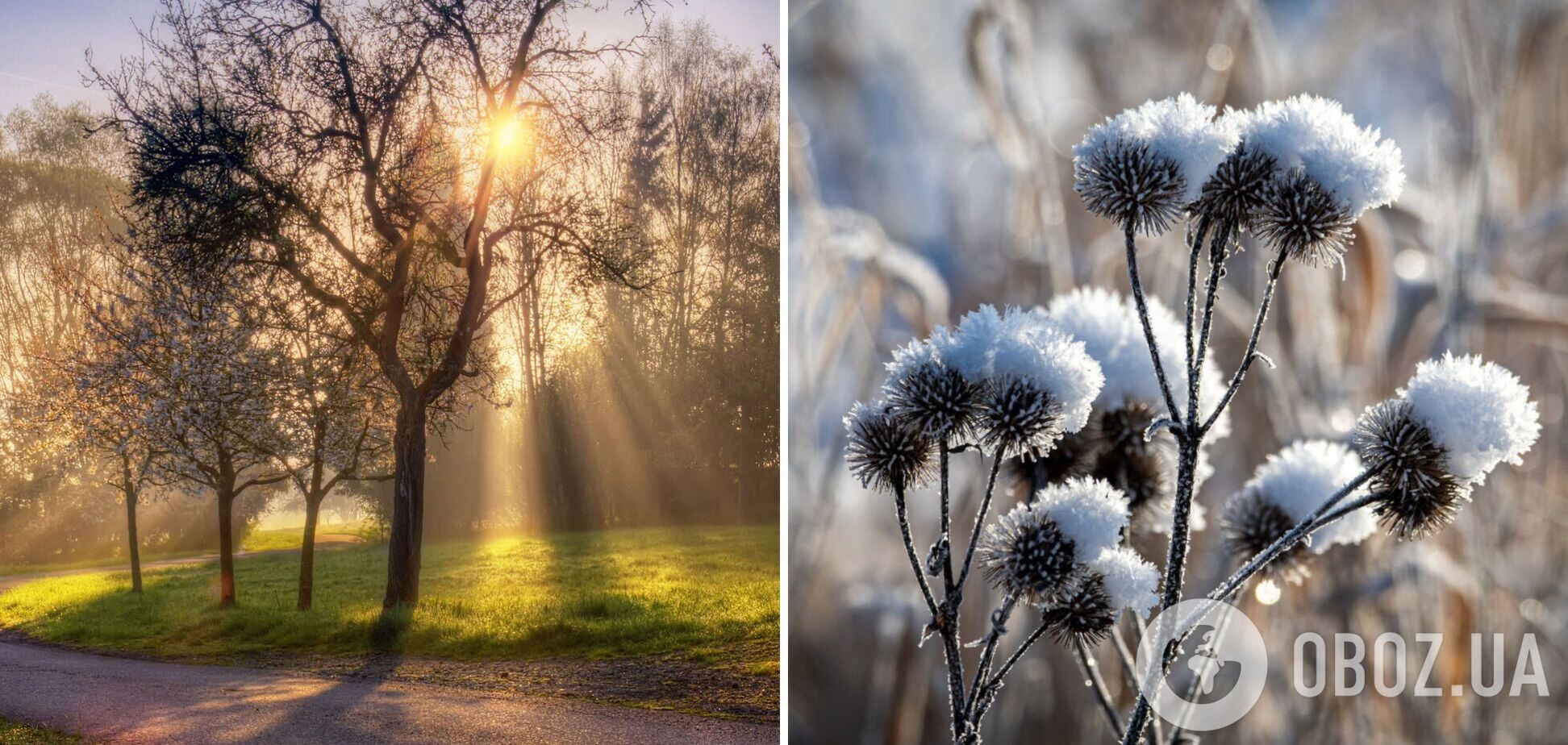 После настоящей весны еще вернутся морозы: климатолог рассказала, когда в Украине ждать похолодания
