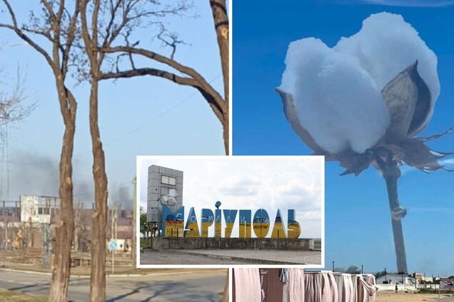 Бавовна в Мариуполе