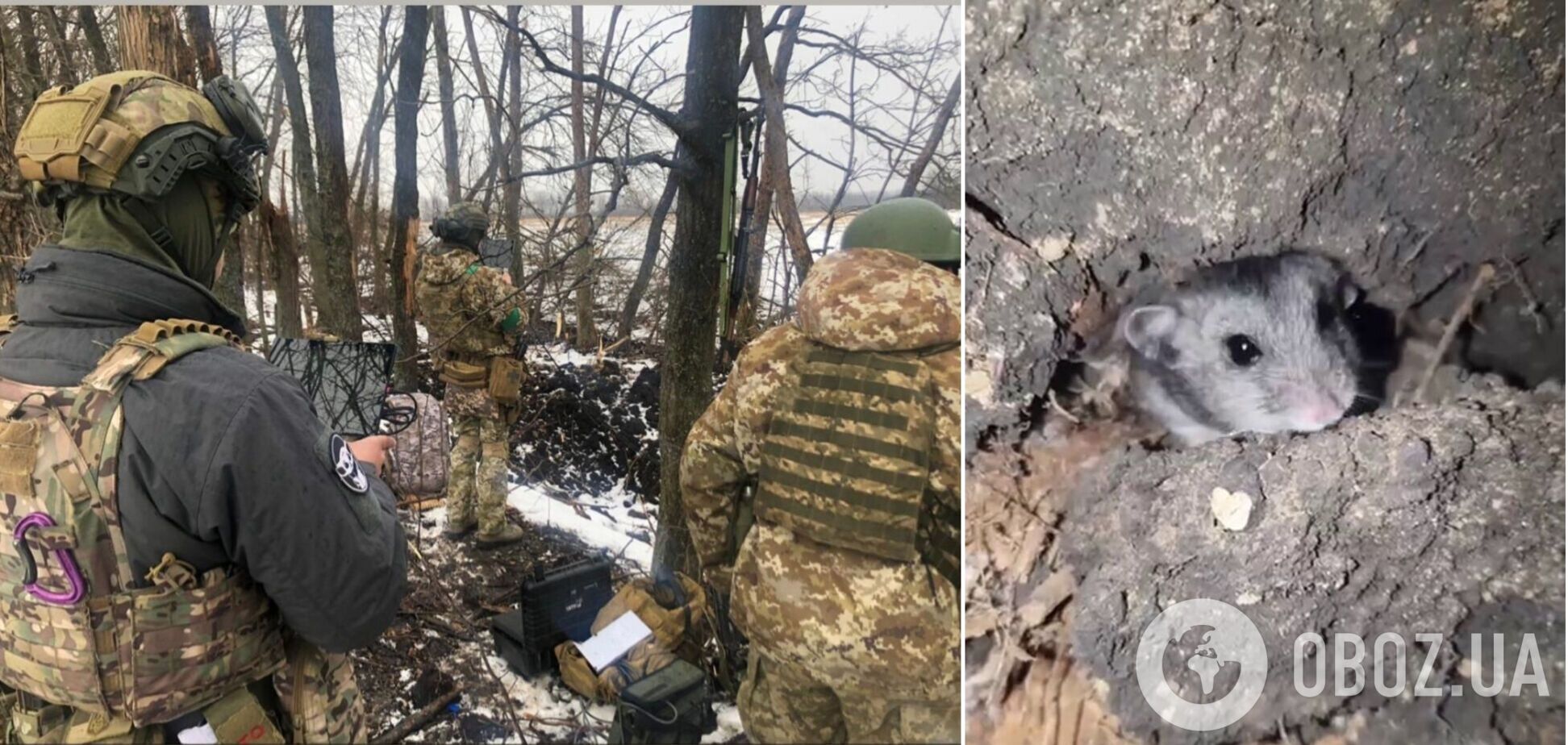 Угледарский хомяк: украинские пограничники показали своего милейшего соседа. Видео