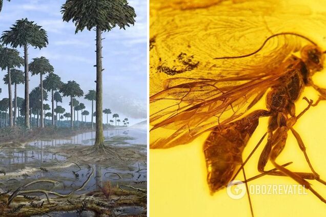 В разных уголках Земли нашли останки гигантских муравьев: ученые заинтригованы