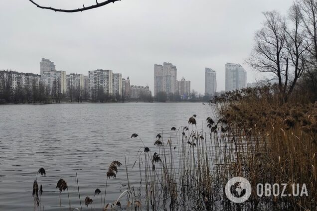 Синоптики прогнозують невеликий дощ