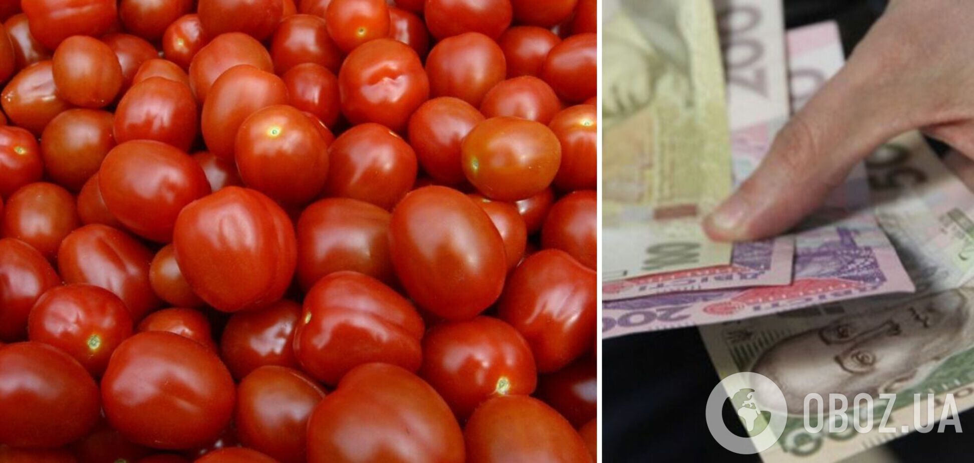 В Украине начали расти цены на помидоры