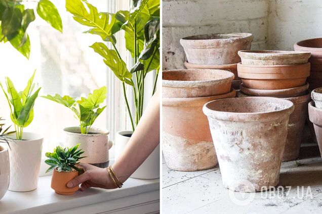Як позбутися білого нальоту на горщиках для квітів: простий лайфхак