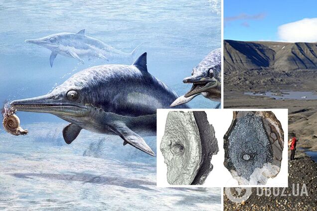 Знайдено рештки тварини, старішої за динозаврів: теорія еволюції може змінитися