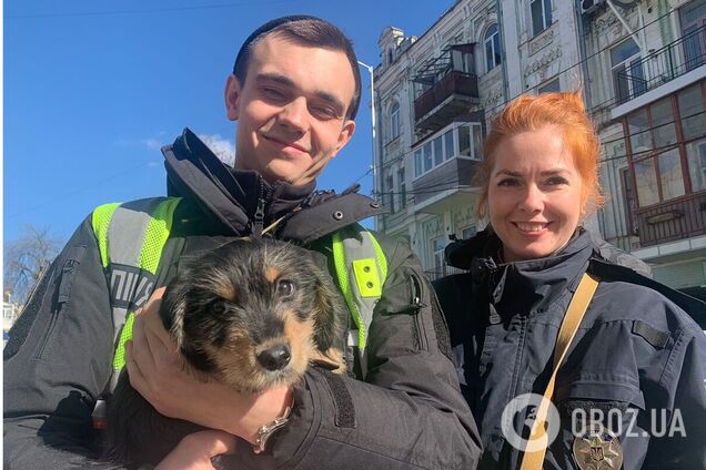 Сейчас четырехлапому ничего не угрожает