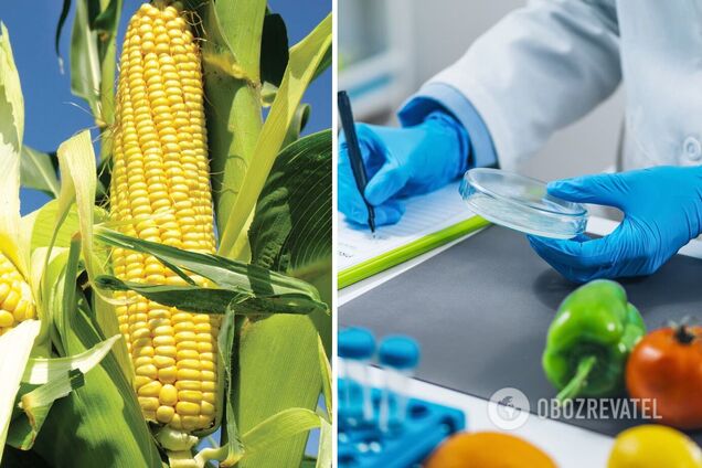 Правила обігу ГМО в Україні поки що не відповідають європейським