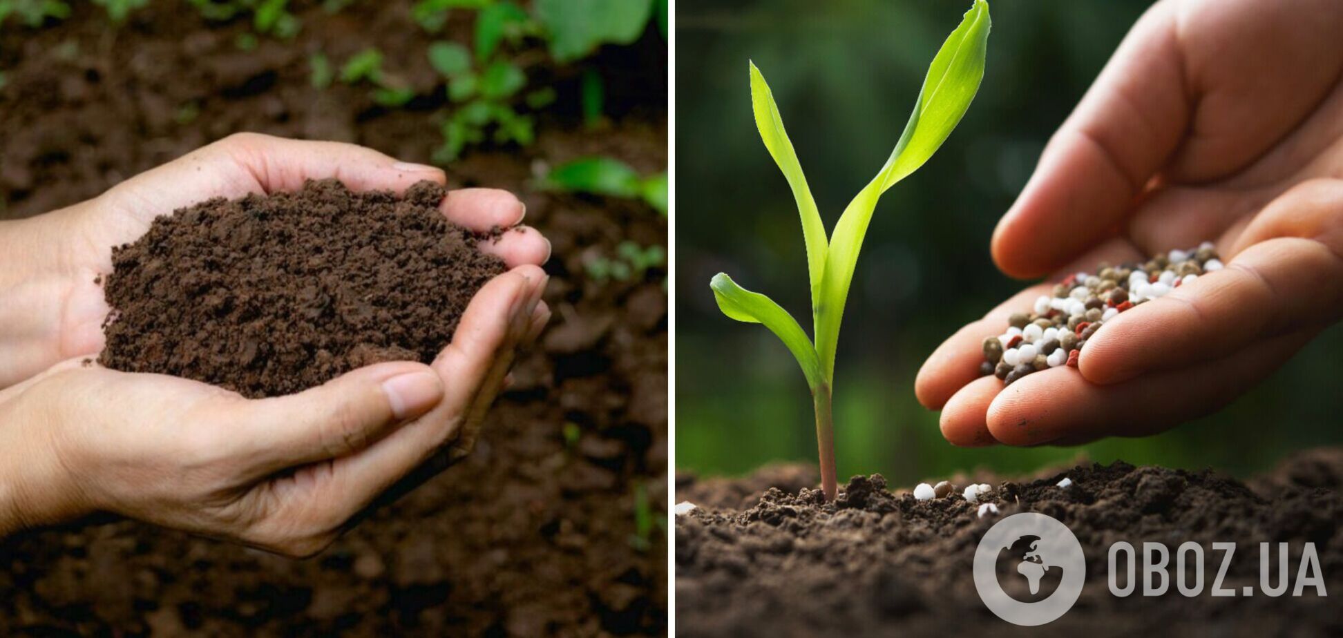 Как подготовить почву перед высадкой овощей: овощи будут расти как на дрожжах