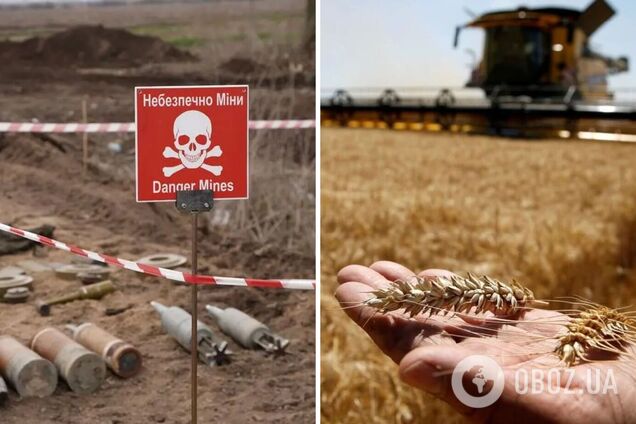 Росіяни замінували поля на територіях, що тимчасово були під їх контролем