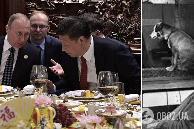 На десерт – Павлова: стало известно, чем угощали Си Цзиньпина в Москве. Фото